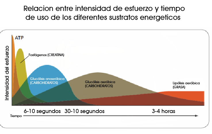 Gráfica sistemas energéticos