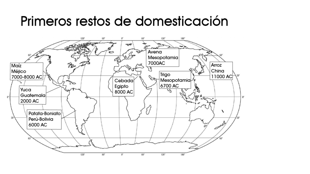 fecha de domesticación de diferentes carbohidratos