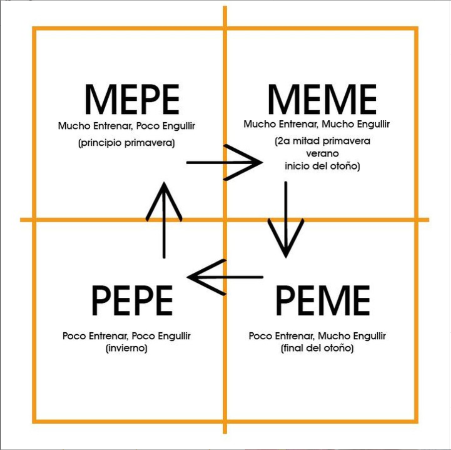 Cuadrante metabólico, estados del metabolismo